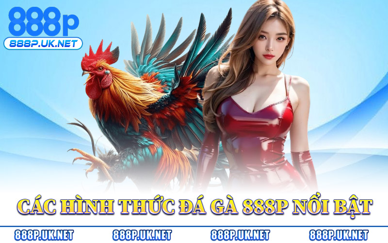 Các Hình Thức Đá Gà 888P Nổi Bật