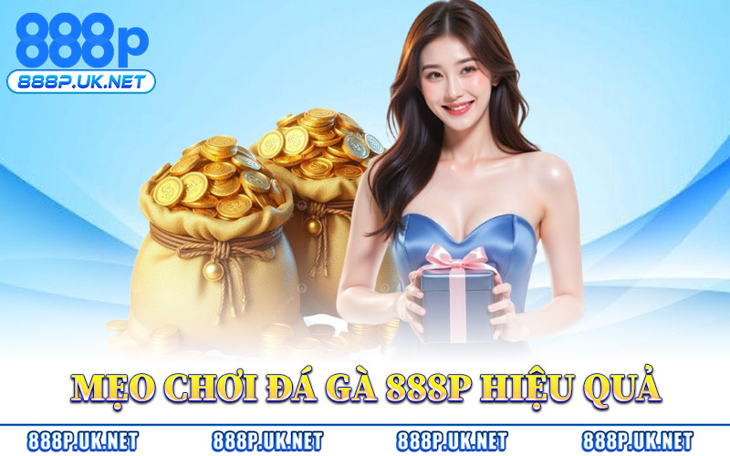 Mẹo Chơi Đá Gà 888P Hiệu Quả